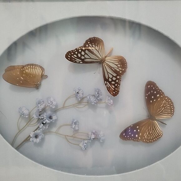 Vtg 3 Butterflys & Flowers Mounted In Shadow Box Frame Taxidermy Oklahoma Flaw - Picture 2 of 12